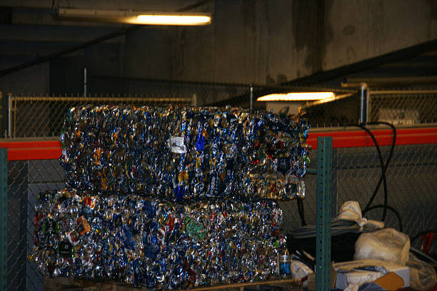 Fake Dollars Money Pro we the best